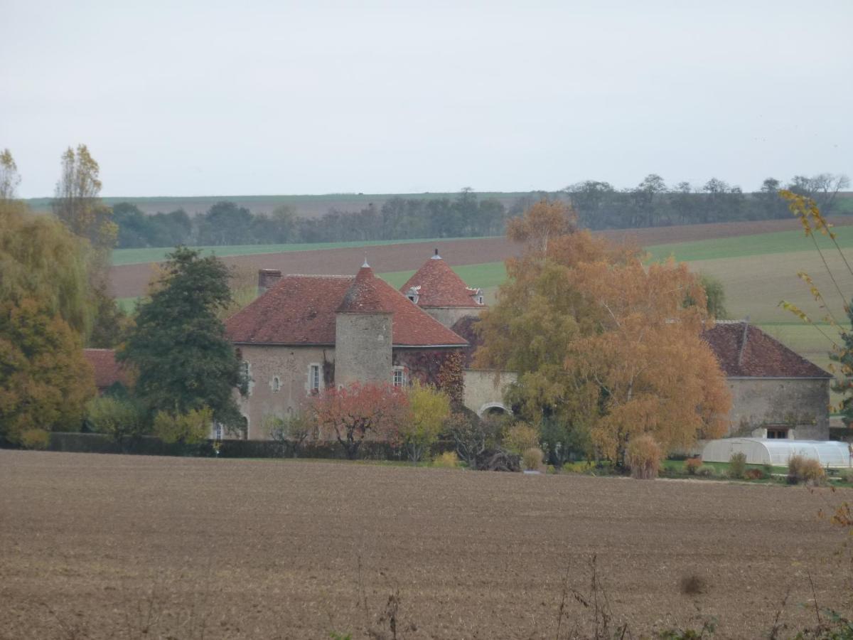 Chateau De Ribourdin Chevannes  Luaran gambar